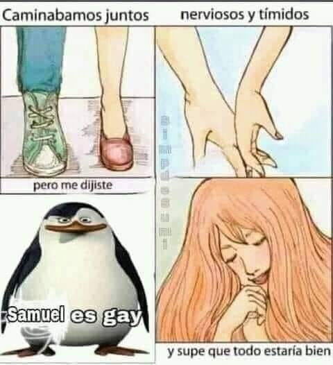 samuel es gay - meme