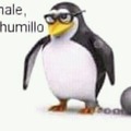 Chale me humillo :(