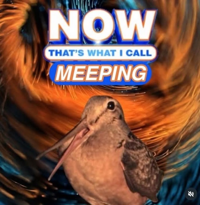 Best album ever - meme