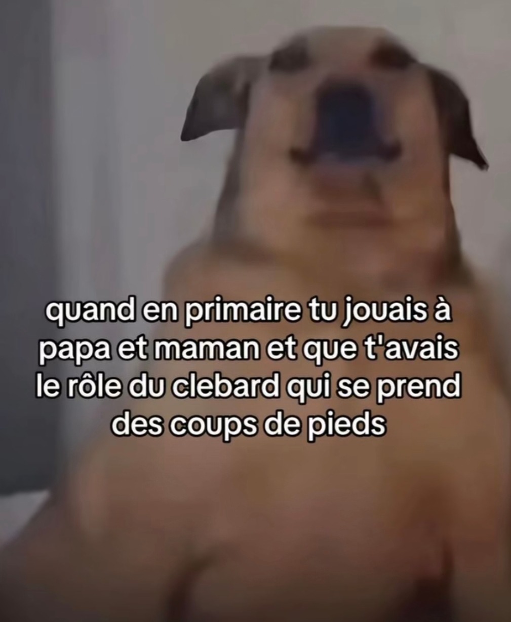 Le rôle du chien en primaire, t’étais juste là pour te faire taper - meme