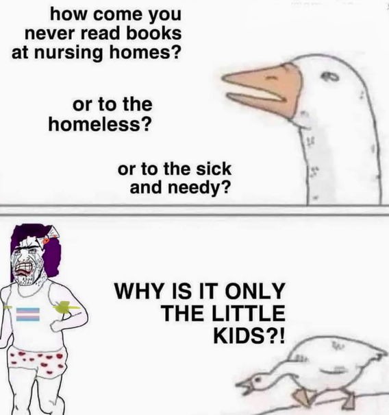 Why - meme