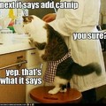 The cat wants catnip