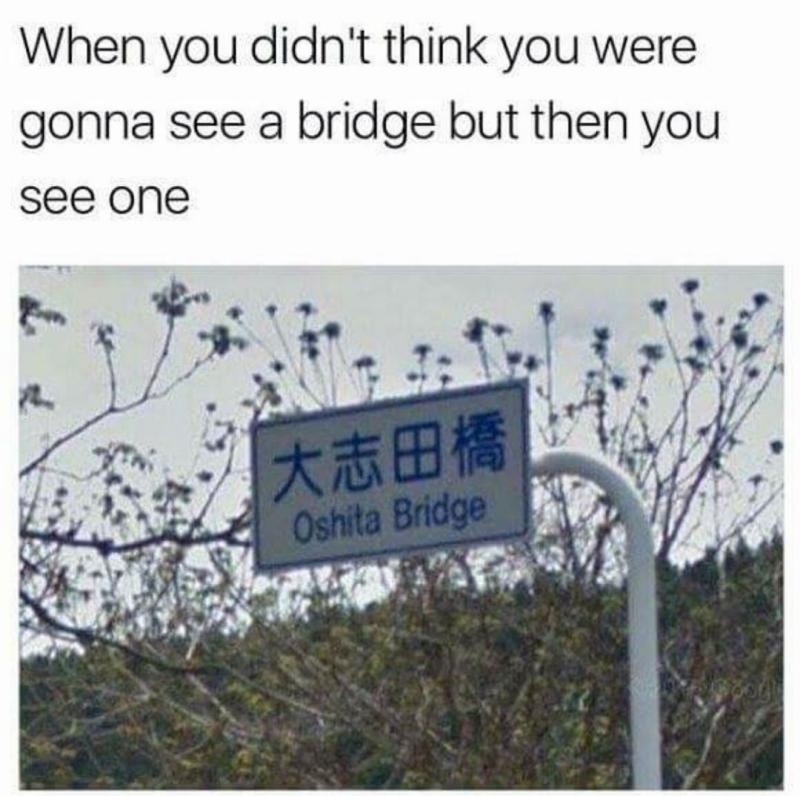 oh shit a bridge - meme