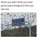 oh shit a bridge