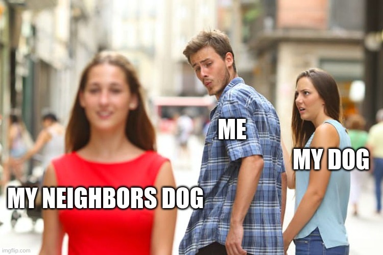 Dog Walking - meme