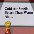 Cold air smelss better