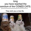 CONED CATS