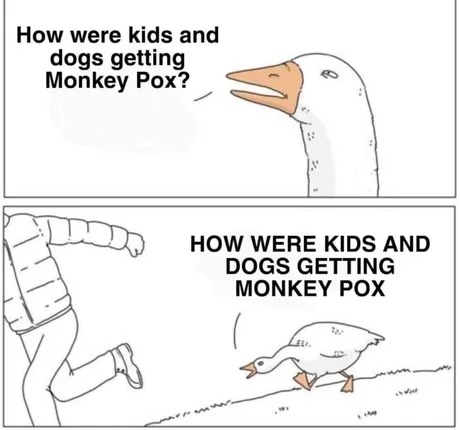 66c2fbff0f752.jpeg