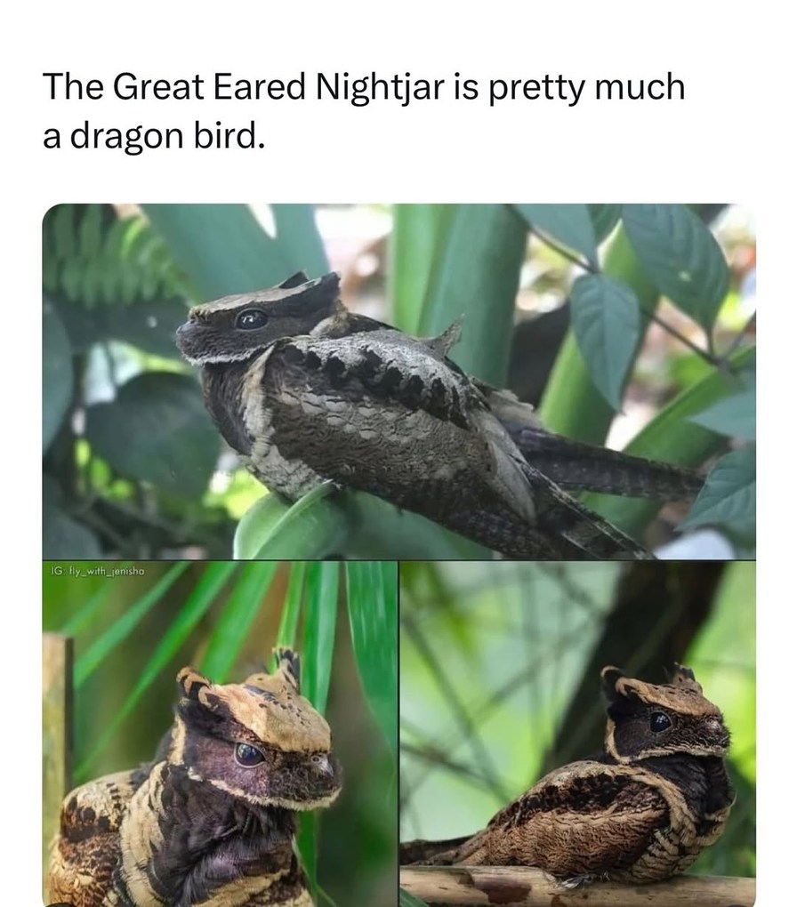 Intresting - meme