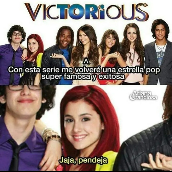 Jaja pendeja - meme