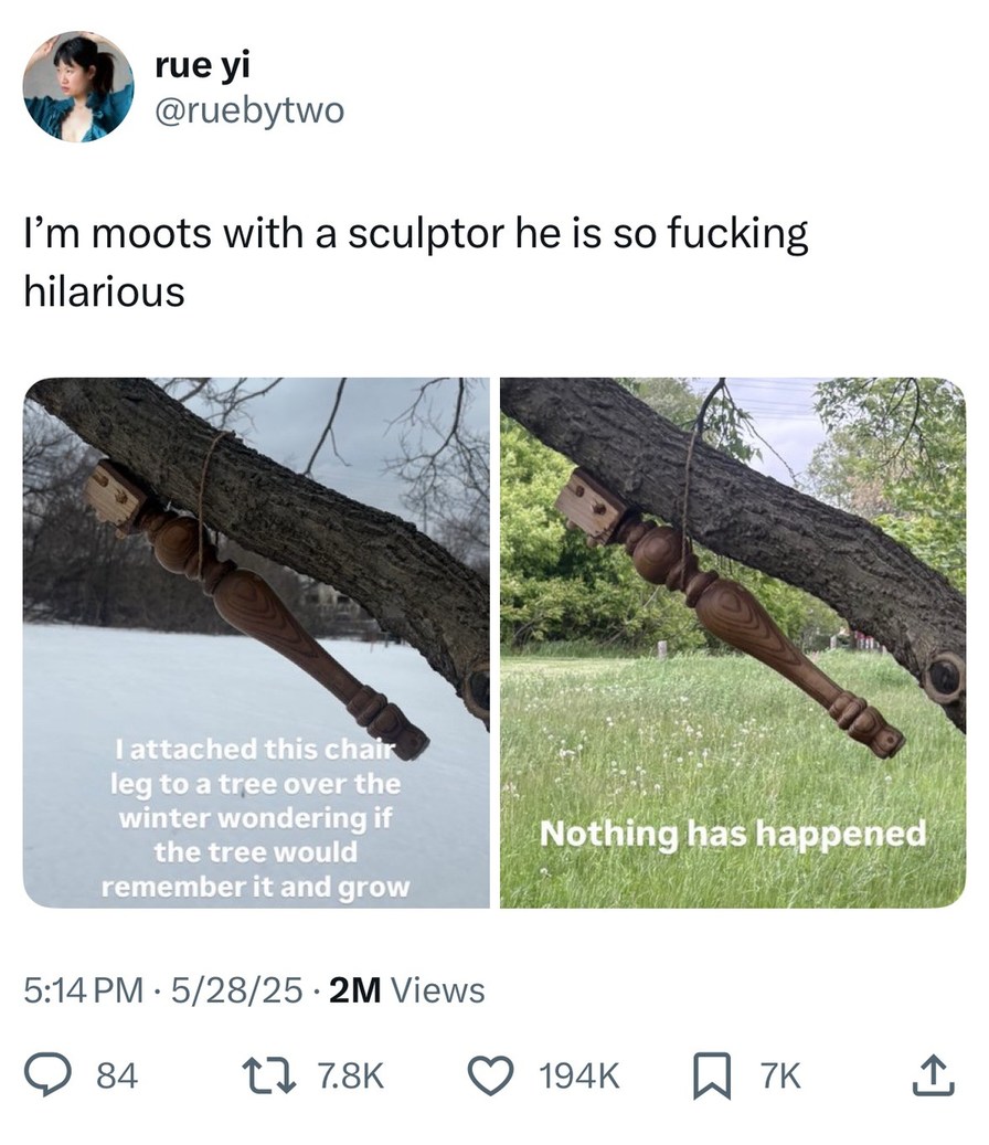 He bolted a chair to a tree to see if it’d grow with it - meme