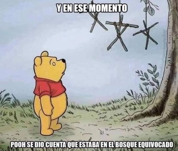 Ese momento en que Pooh se dio cuenta del fail - meme