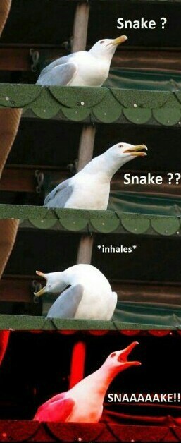Snake answer me - meme