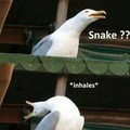 Snake answer me