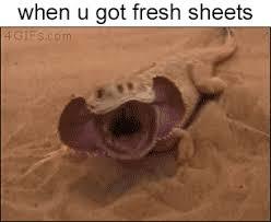 fresh sheets feel good - meme