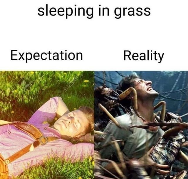Sleeping in grass - meme