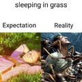 Sleeping in grass