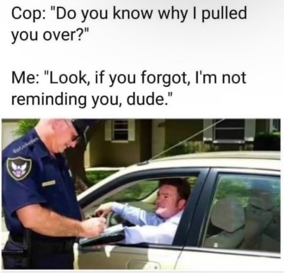 That’s your fault pall - meme