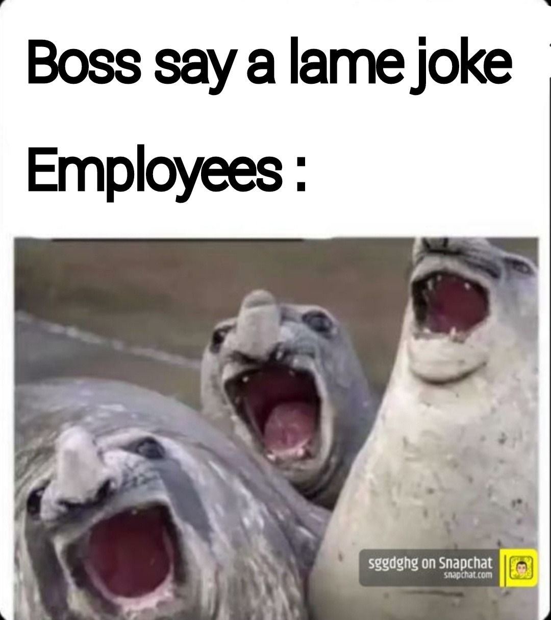 Try saying a dad joke in the comments - meme