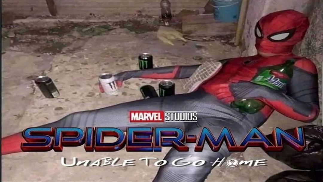 Everyone, there is another new Spider-Man movie - meme