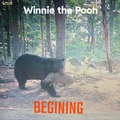 Winnie the Pooh irl