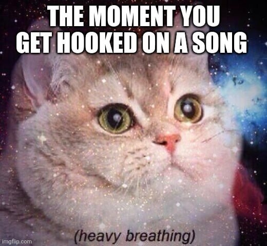 Hooked cat - meme