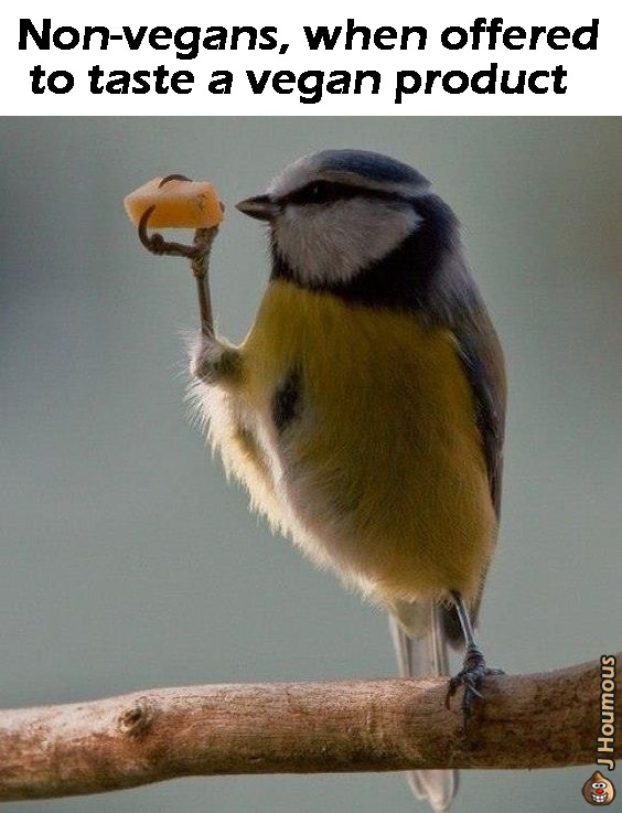 Suspicious - meme
