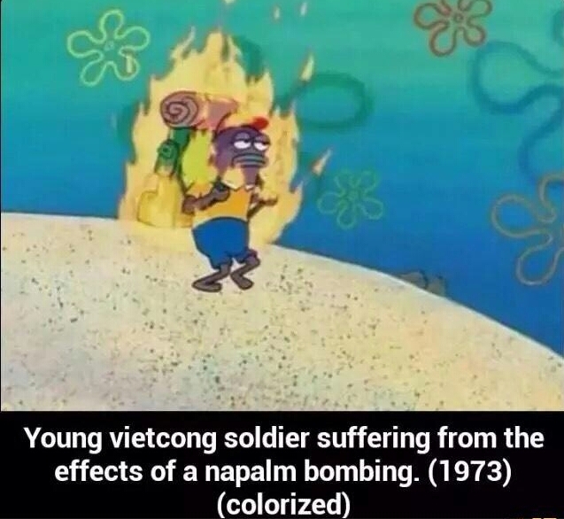 Poor innocent farmer had to suffer from an American napalm strike - meme