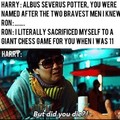 'Arry Potter