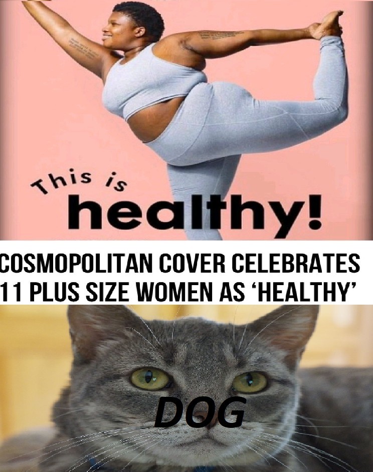 Smopolitan covers 11 pictures of dogs. - meme