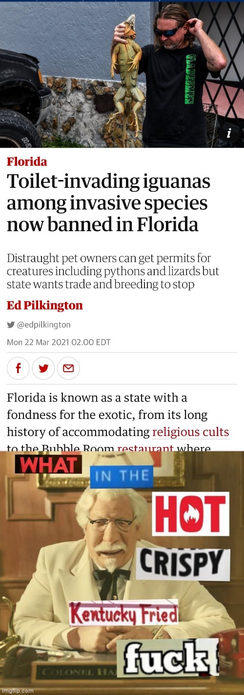 In the great state of Florida.....there are now toilet iguanas - meme