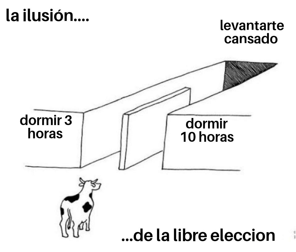Todas esas palabras mágicas eran FALSAS - meme