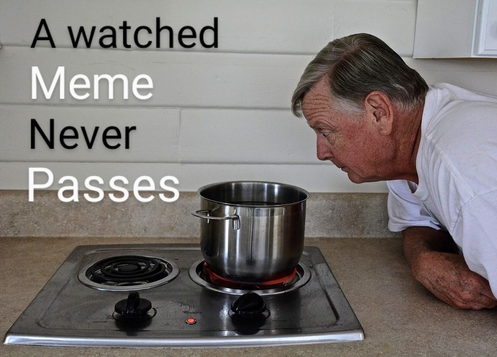 I'm not watching this one - meme