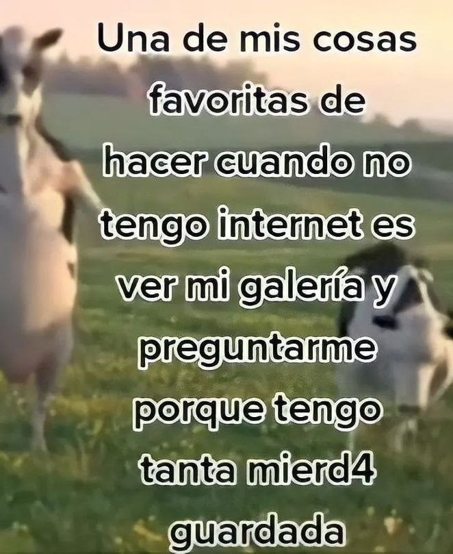 Pero viene perfecto cuando no hay internet - meme