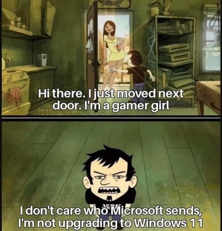Windows 11 is trash - meme