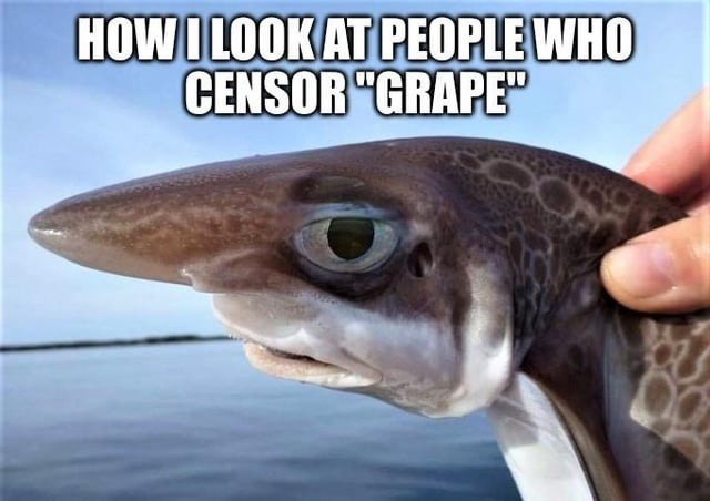 Still can't believe we censor the word grape - meme