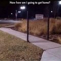 commented item thumbnail