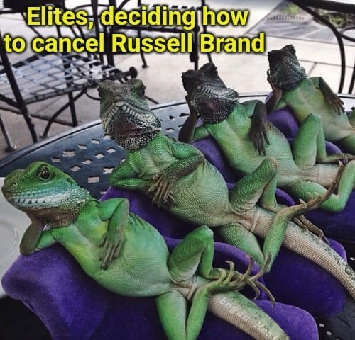 *laughs in reptilian overlord* - meme