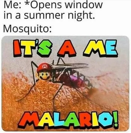 Summer mosquitos - meme