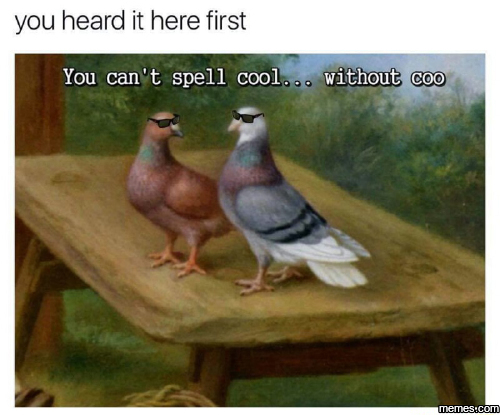 Pigeon holed again - meme