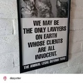 cat lawyers