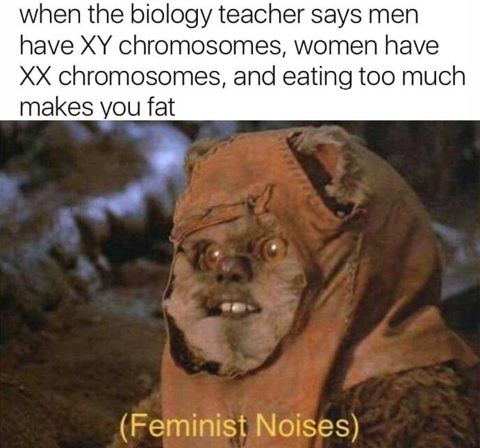 (feminist noises) - meme