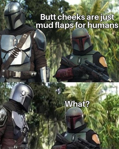 Mud Flaps - meme