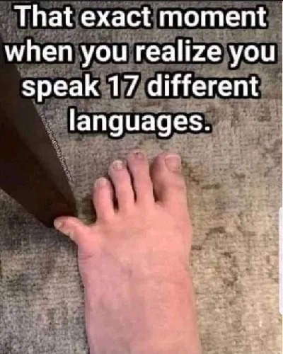 Multilingual pain - meme