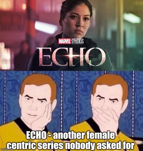 Echo series meme