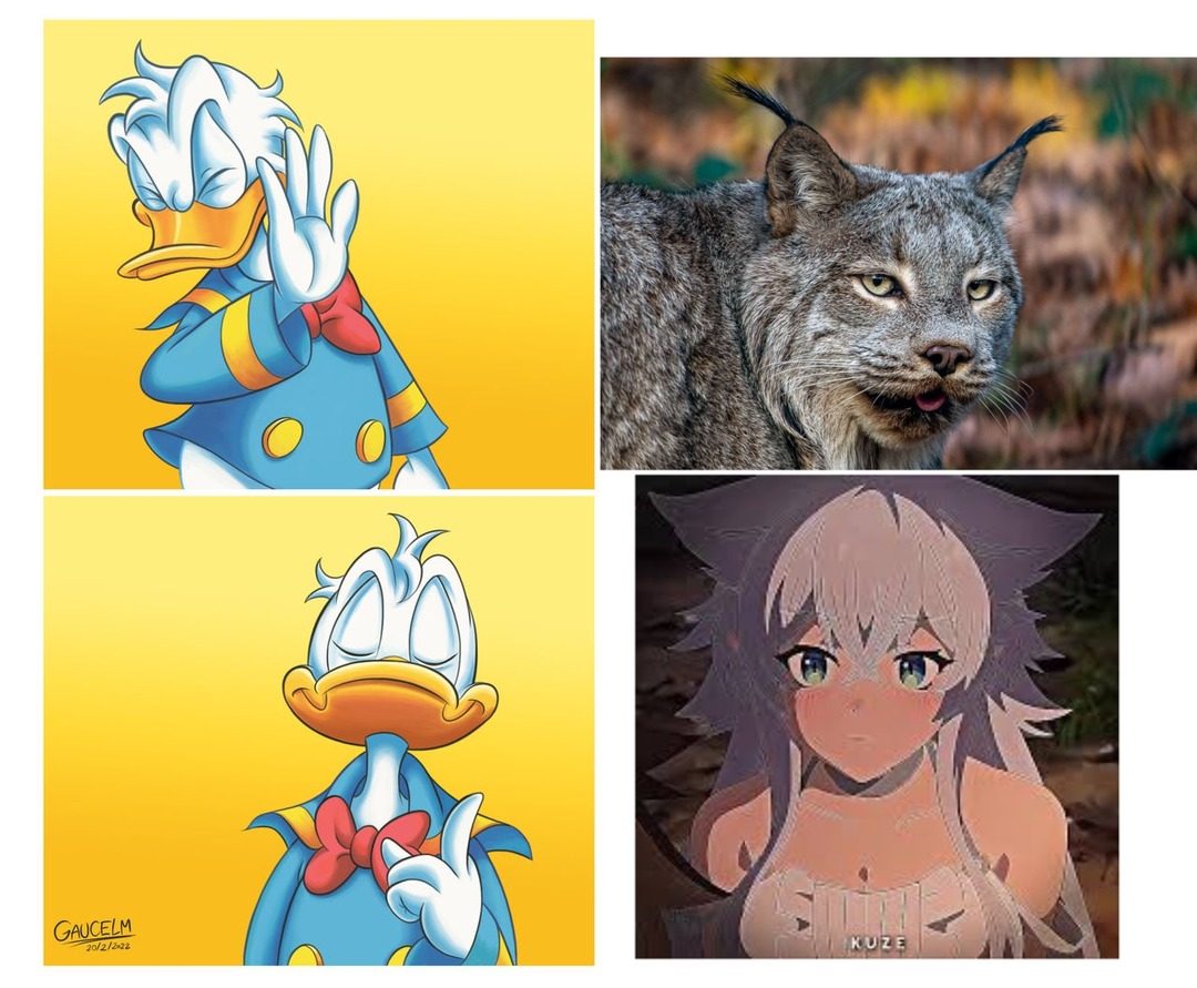 da un'animale ad una waifu - meme