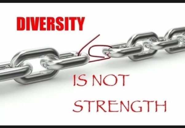 ﻿DIVERSITY IS NOT STRENGTH