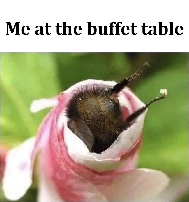 Shitpost - meme