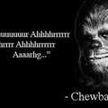 Sabias palabras de Chewie