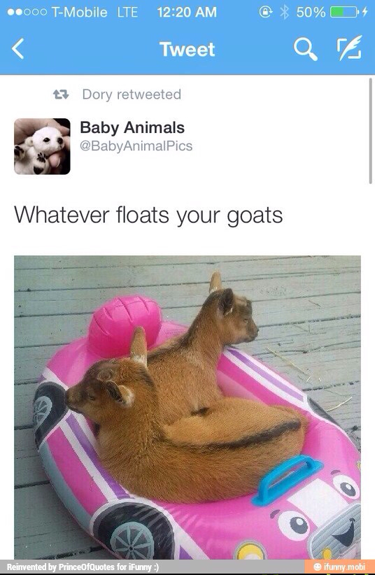 goats - meme